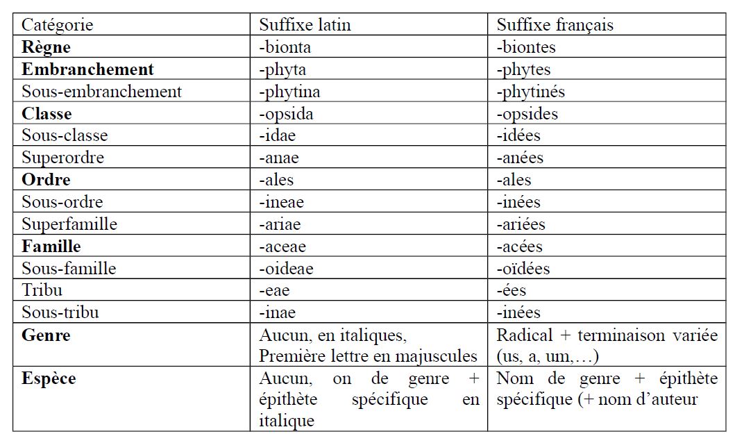 Classification des plantes