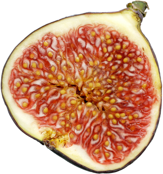 Fruit charnu du figuier de type polyakene