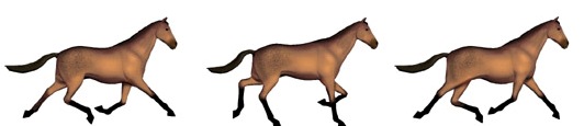 image Amble_fin du cheval