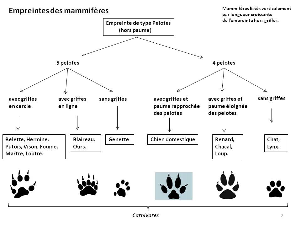 Image Empreintes : page2