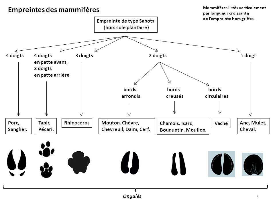 Image Empreintes : page3