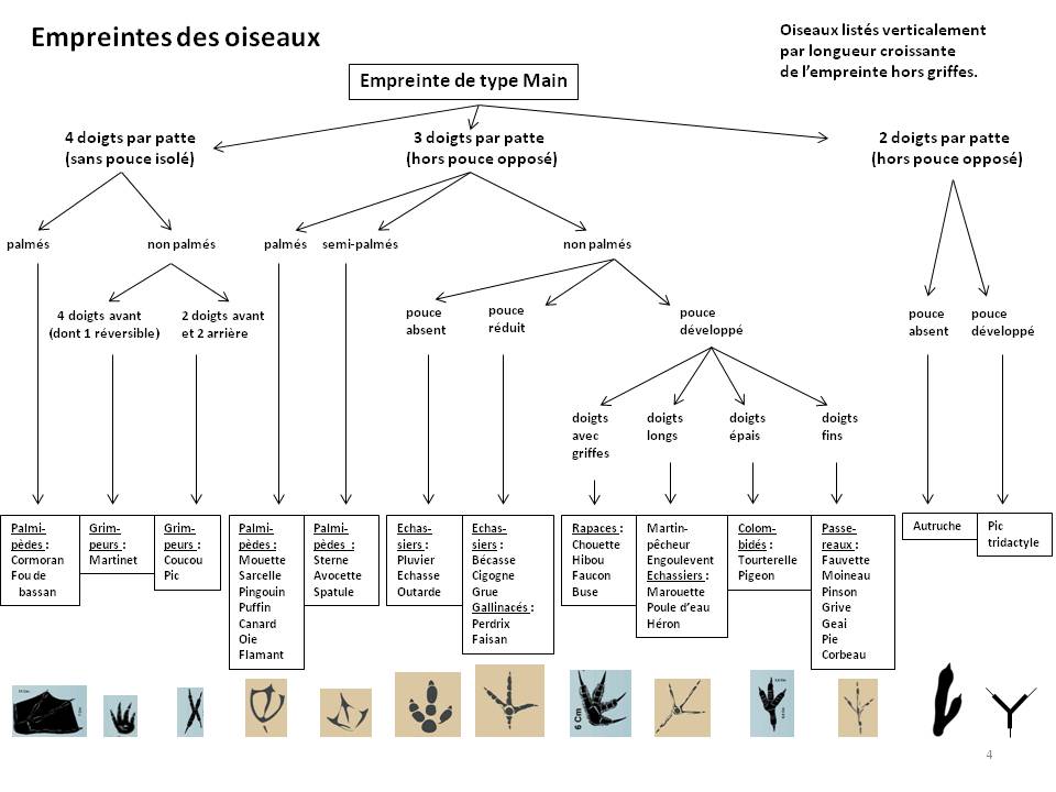 Image Empreintes : page4