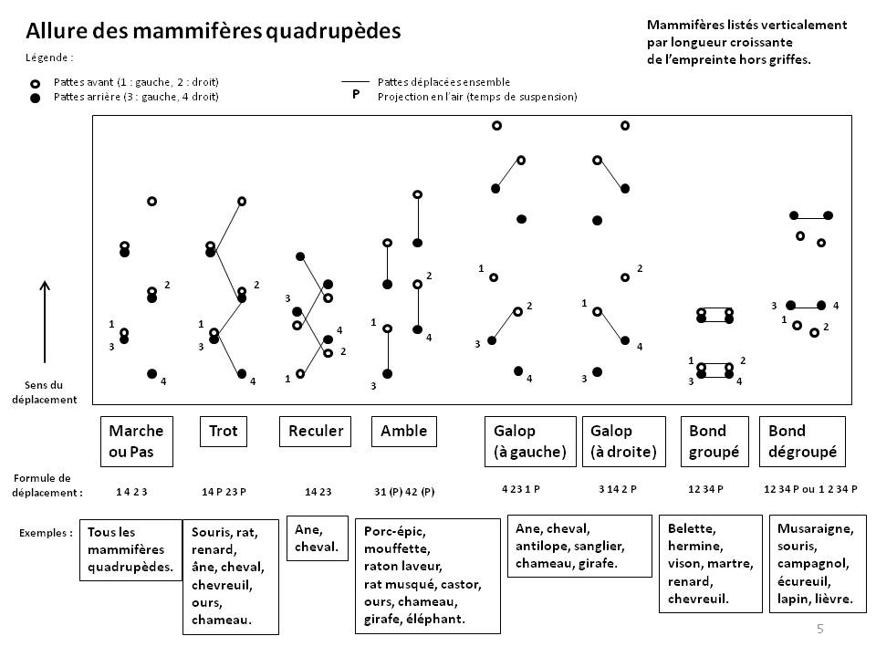 Image Empreintes : page5