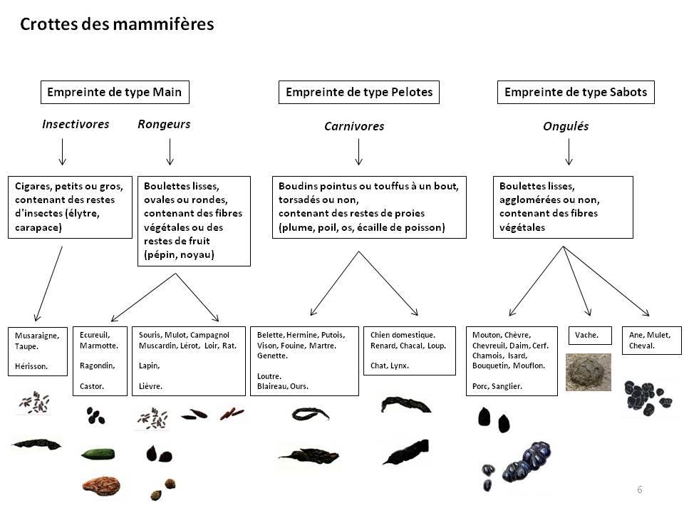 Image Empreintes : page6