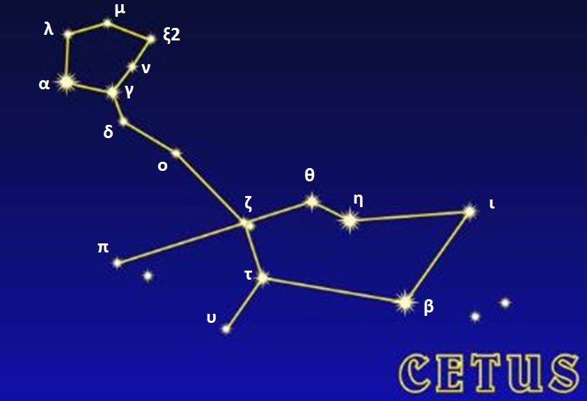 picture Constellation - The Whale
