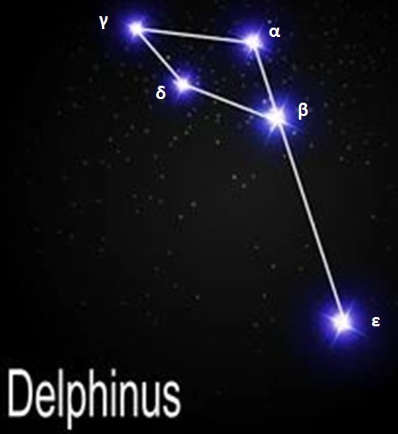 picture Constellation - The Dolphin