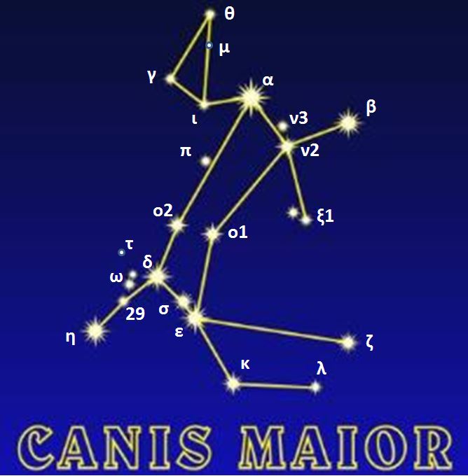 picture Constellation - The Great Dog