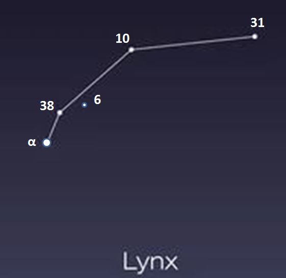 picture Constellation - The Lynx