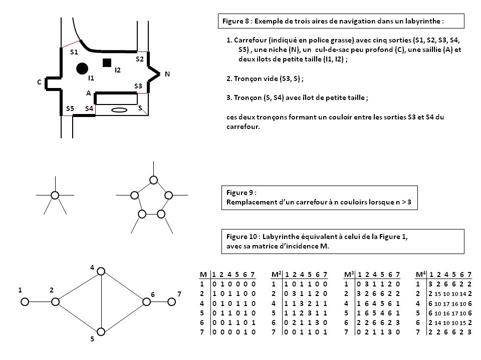 image Labyrinthe5