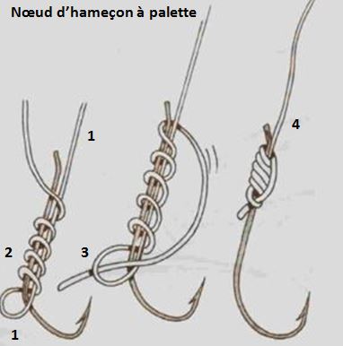 image Noeud d hamecon a palette