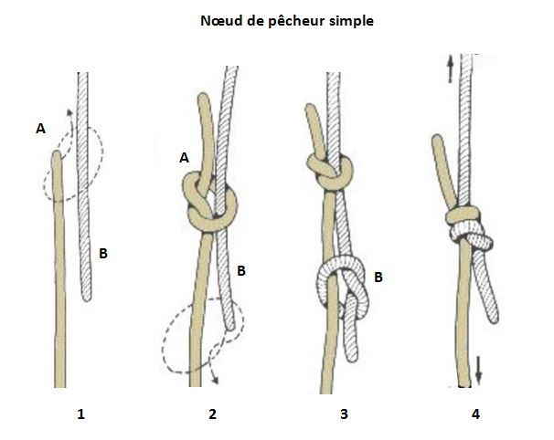 image Noeud de pecheur simple