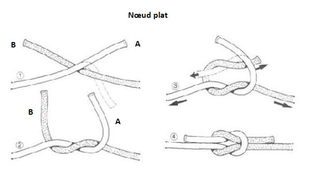 image Noeud plat