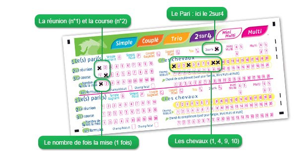 image Le PMU francais
