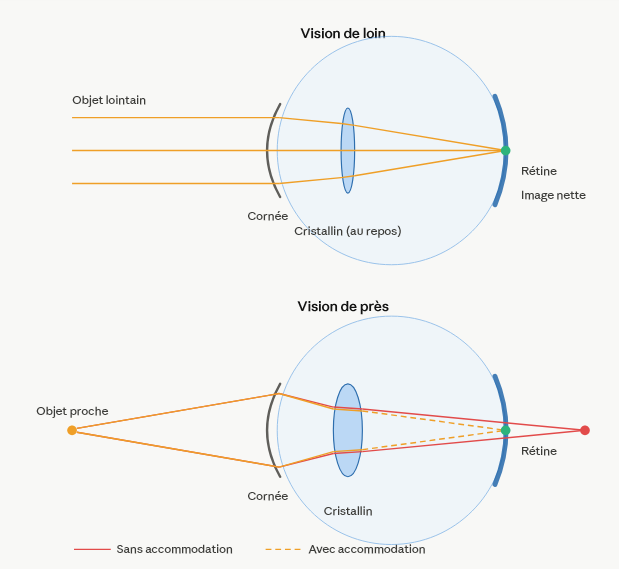 picture Eye anatomy