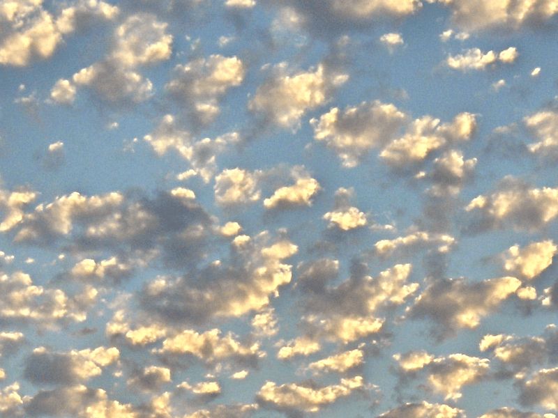 Image Meteorologie : altocumulus floccus