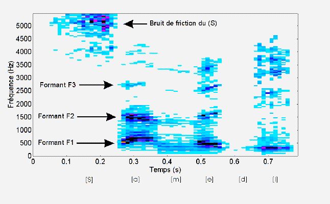Image Musique : Langage parle - Les Formants