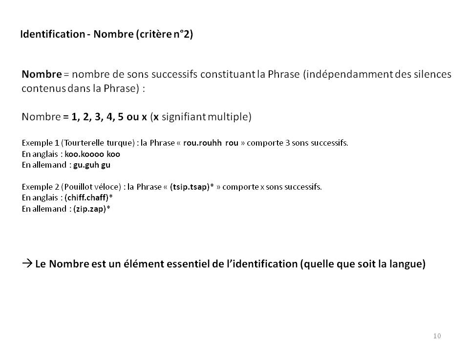 Image ornithologie : methode10