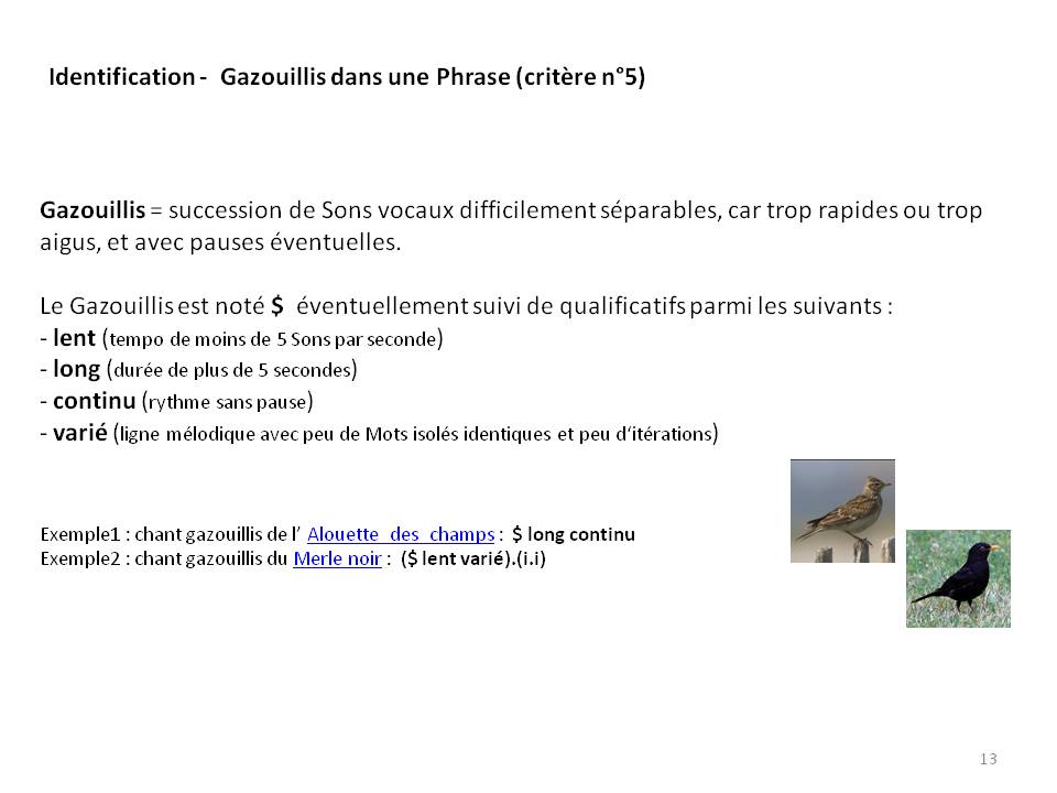 Image ornithologie : methode13