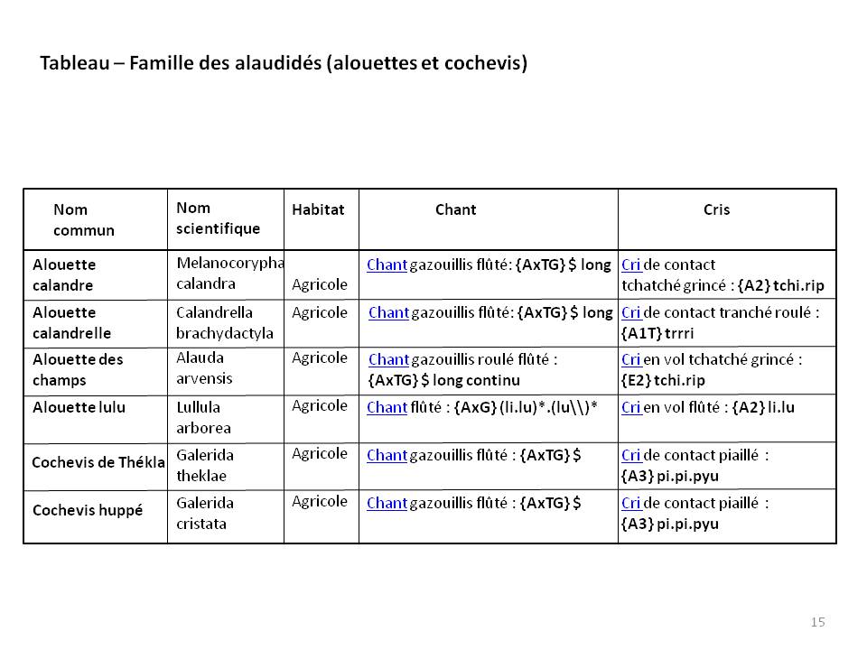 Image ornithologie : methode15