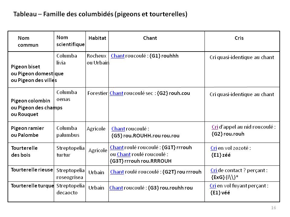 Image ornithologie : methode16