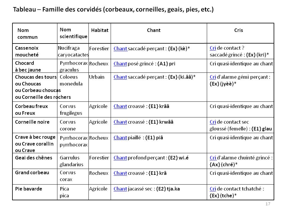 Image ornithologie : methode17