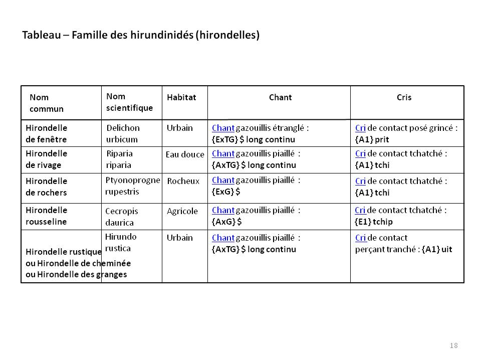 Image ornithologie : methode18