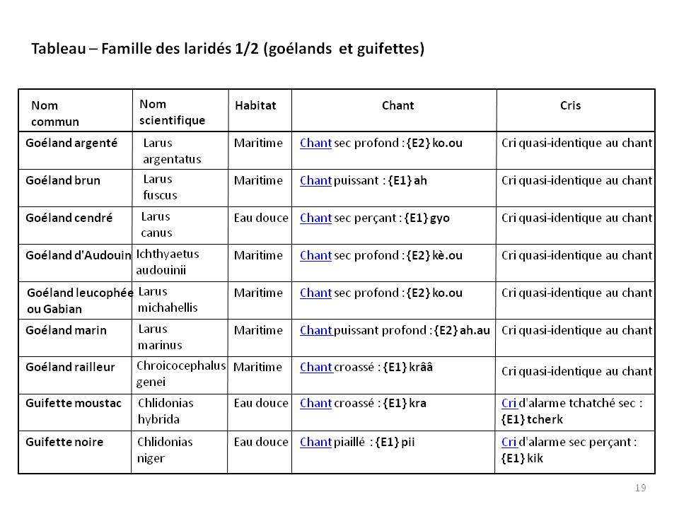 Image ornithologie : methode19