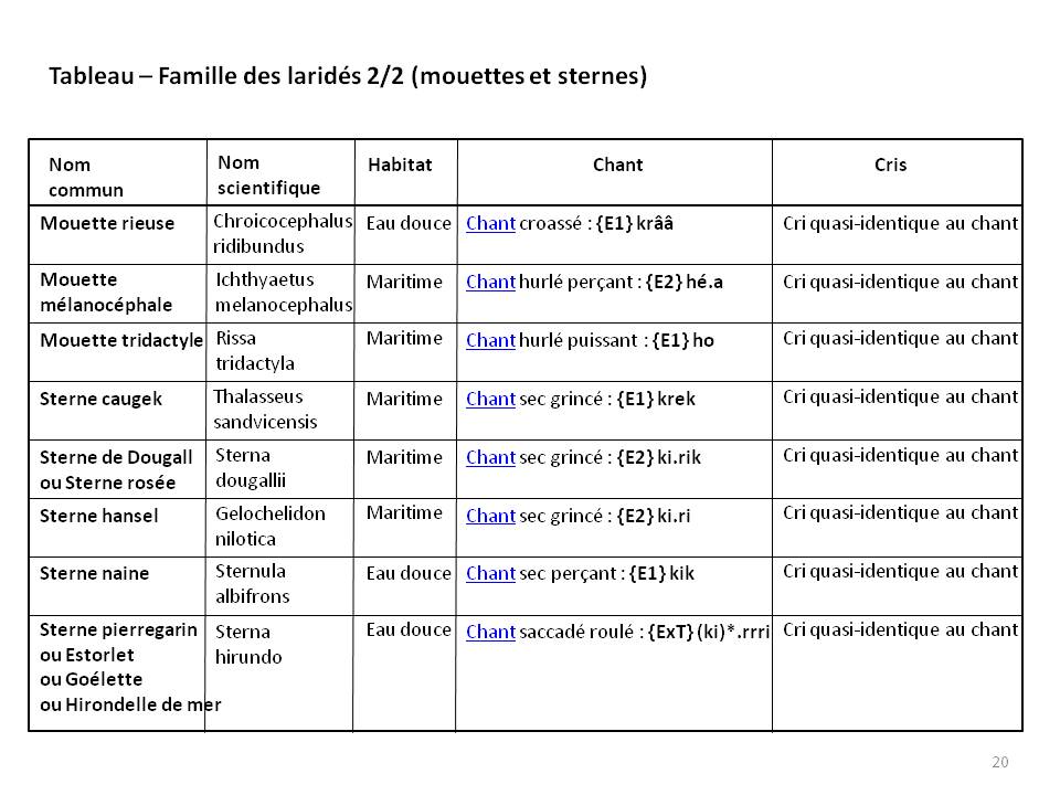 Image ornithologie : methode20