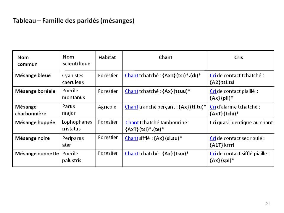 Image ornithologie : methode21