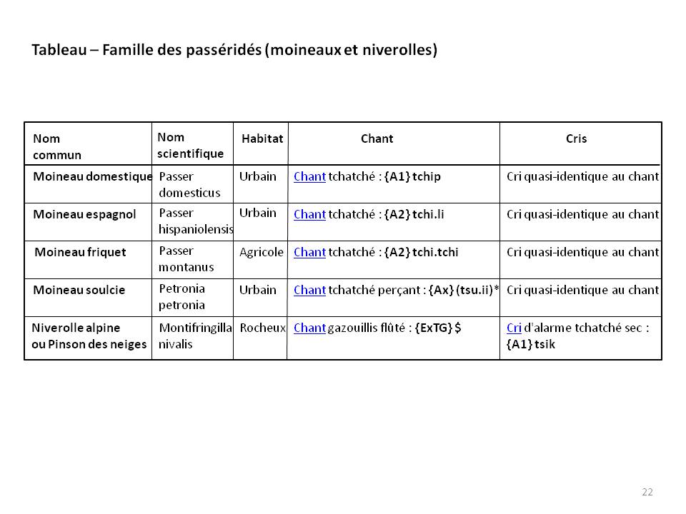 Image ornithologie : methode22