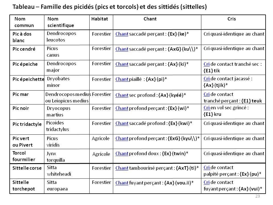 Image ornithologie : methode23