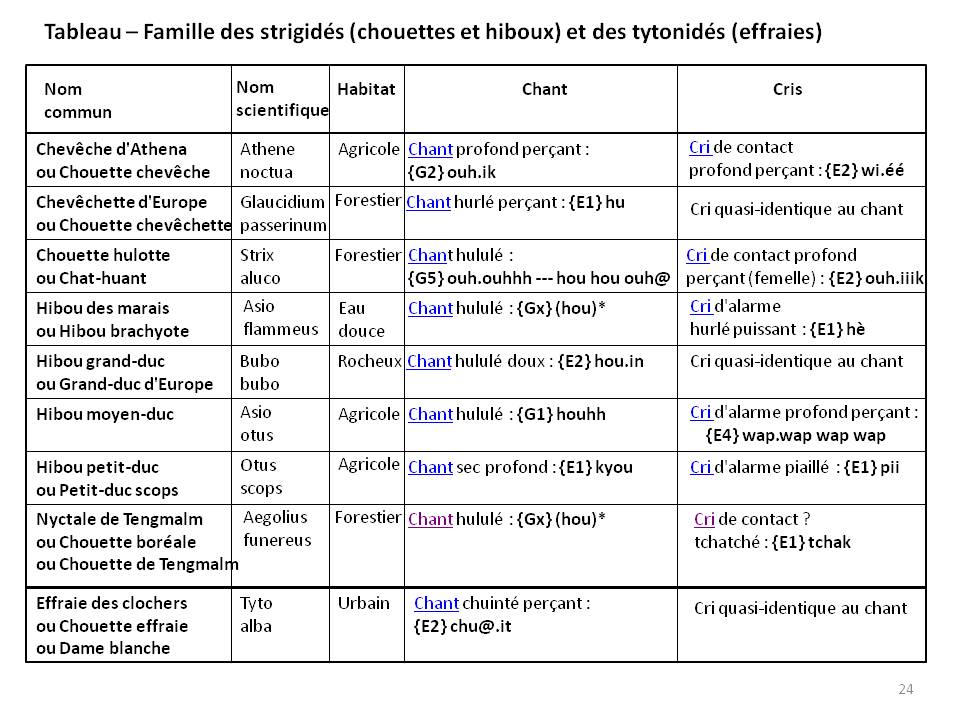 Image ornithologie : methode24