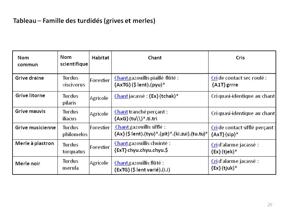 Image ornithologie : methode25