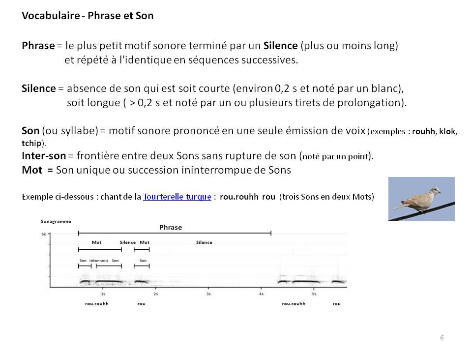 Image ornithologie : methode6