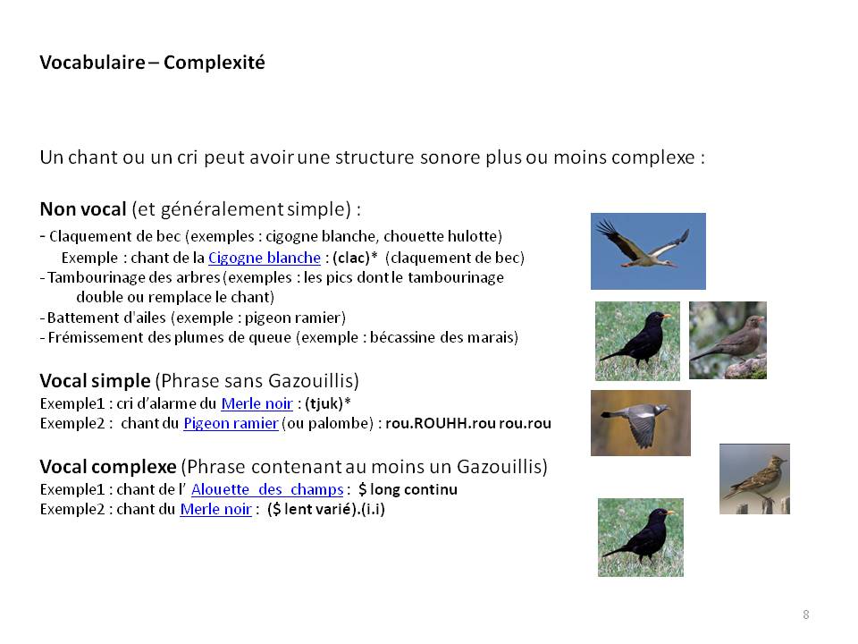 Image ornithologie : methode8