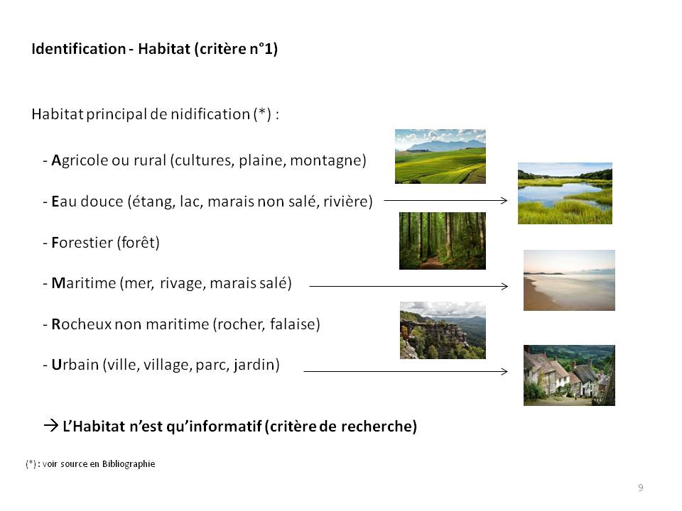 Image ornithologie : methode9