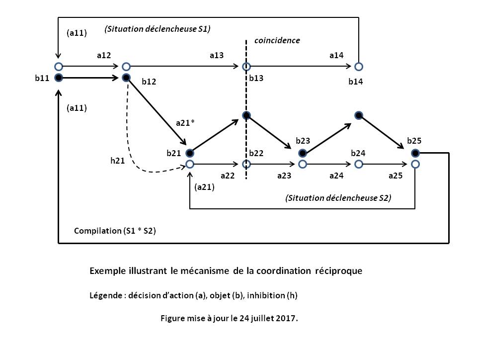 image Exemple illustrant le mecanisme de la coordination reciproque