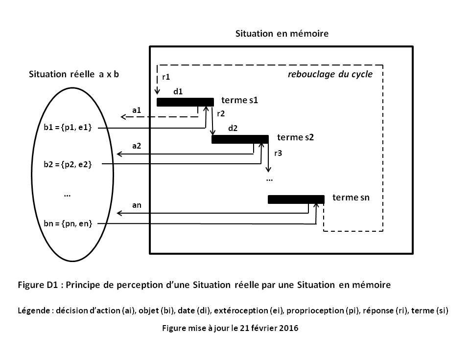 image SNH description1