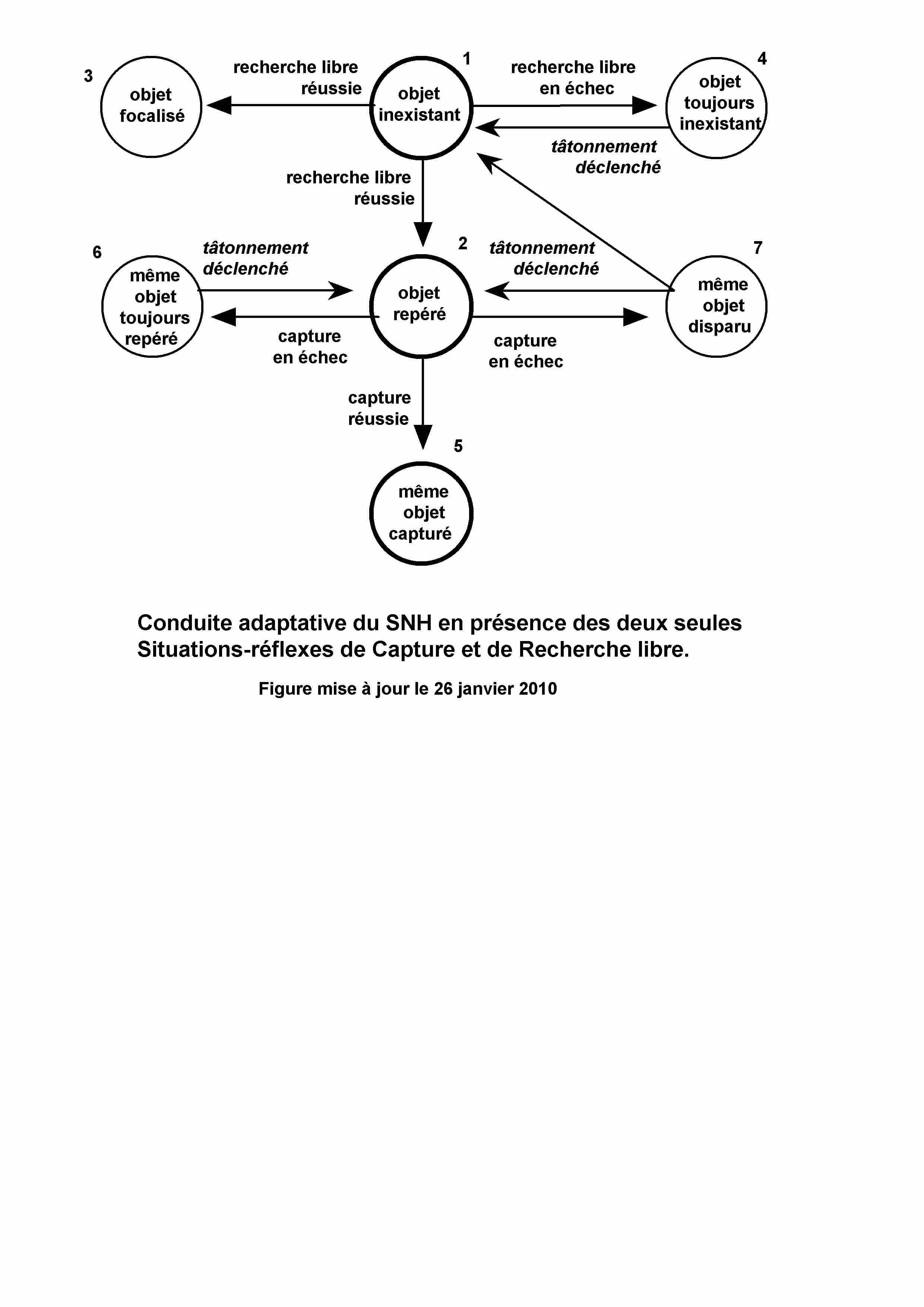 image conduite adaptative du SNH