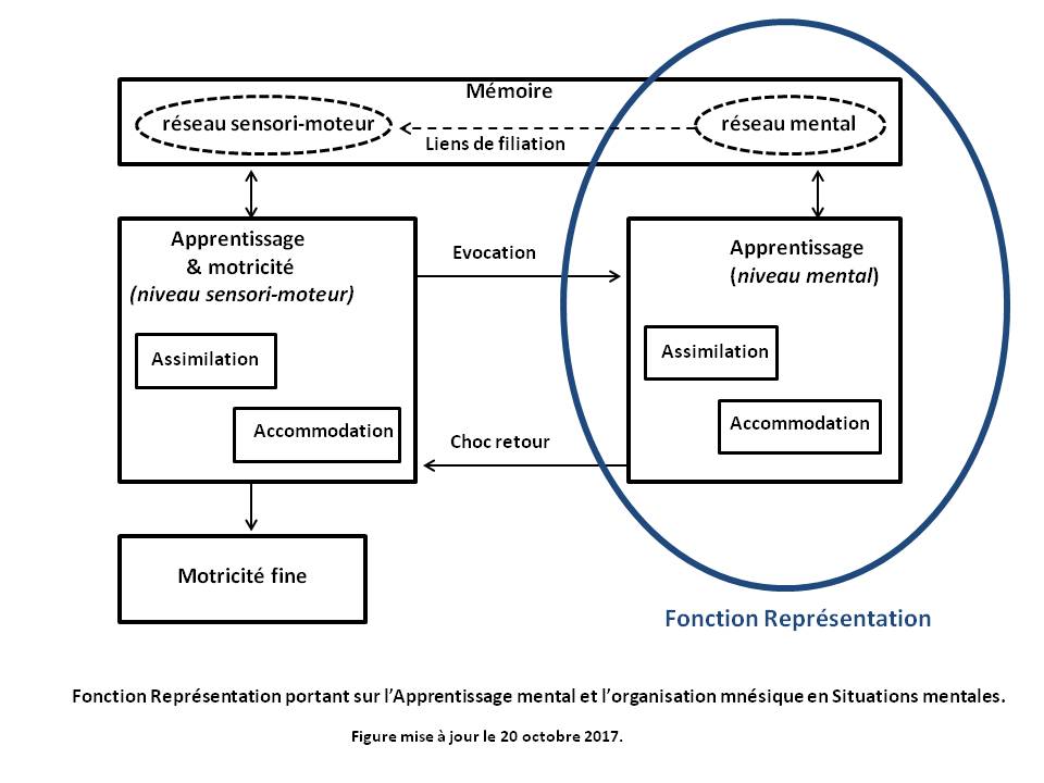 image Fonction Representation